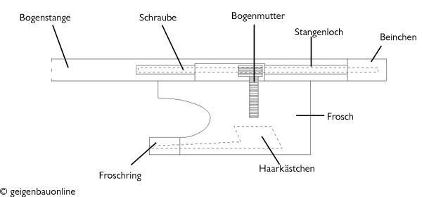 Auf diesem Bild von Geigenbau Online können Sie eine Längsschnitt eines Bogenfrosches sehen. Daran können Sie die Mechanik eines Geigenbogens sehr gut erkennen